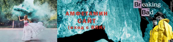 прущие грибы Киренск
