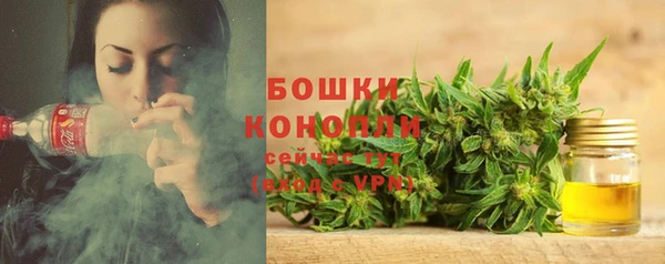 прущие грибы Киренск
