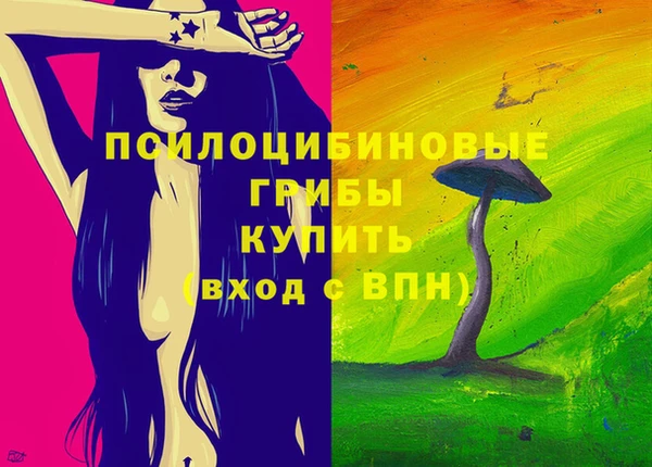 прущие грибы Киренск