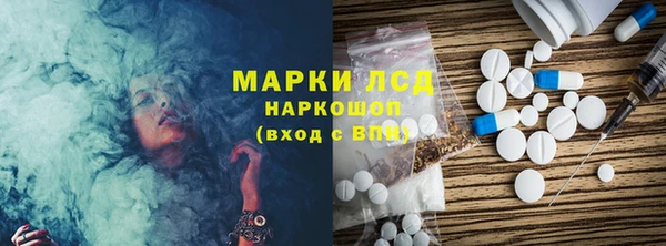 прущие грибы Киренск